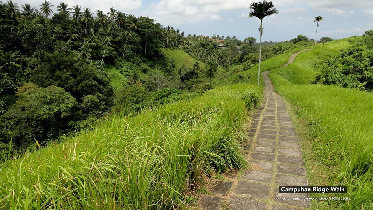 Zen Premium Nyuh Bojog Ubud Eksteriør billede